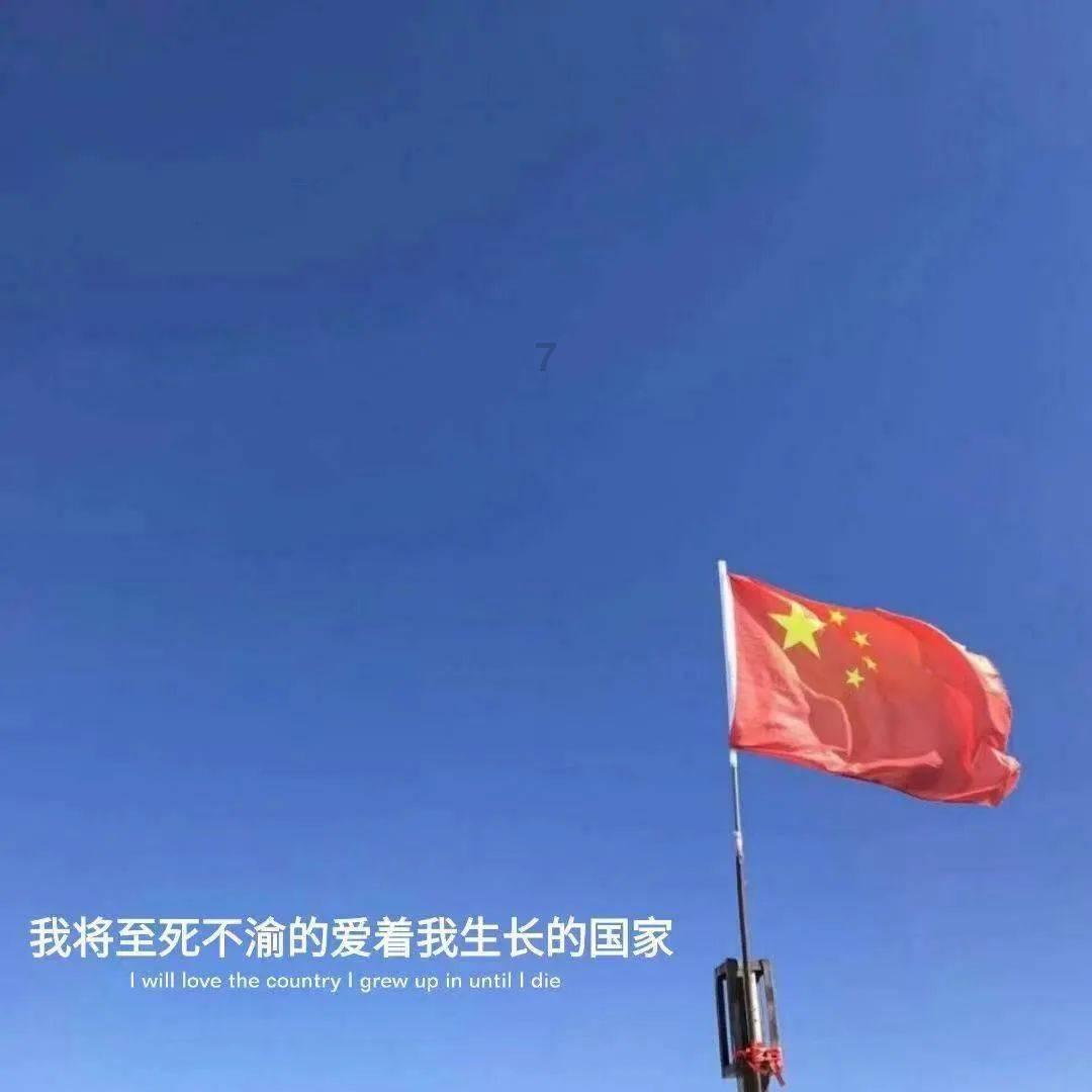 创作猫